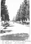 Май 1971 г. Ул. Николаевой-Терешковой, пос. Донской (к больнице)