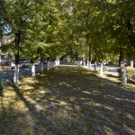 Аллея улицы Просвещения Аллея улицы Просвещения